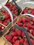 Fresh organic ripe strawberries growing on strawberry farm in greenhouse. A modern method of vertical growing in agriculture from