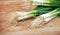 Fresh organic spring onions