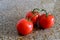 Fresh organic tomatoes on the vine on granite kitchen counter
