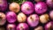 Fresh Organic Turnip Vegetable Horizontal Background.