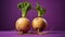 Fresh Organic Turnip Vegetable Horizontal Illustration.