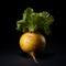 Fresh Organic Turnip Vegetable Square Illustration.