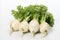 Fresh organic turnips on white backdrop for captivating ads and attention grabbing packaging designs