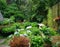 Fresh Organic vegetable garden with raised beds and little greenhouse/hothouse