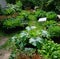 Fresh Organic vegetable garden with raised beds and little greenhouse/hothouse