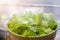 Fresh organic vegetable green salad Chinese Cabbage