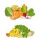Fresh organic vegetable isolated composition set