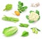 Fresh organic vegetables icon set isolated, healthy food, artichoke, turnip, mushrooms, asparagus, cauliflower, peas