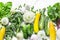 Fresh organic vegetables - zucchini, squash, cucumbers, broccoli, onions, garlic, chard, green peas on a light background, top vie