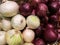 Fresh organic white onion bulbs and red shallot among many onion and shallot background in basket in supermarket. Heap of onion