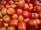 Fresh organic young tomato sold on market. Tomato on market.New harvest of sweet ripe raw tomato fruit on market close up