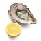 Fresh oyster and half of lemon