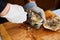 Fresh oyster held open with knife in hand