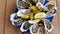 Fresh Oysters close-up on blue plate, served table with oysters, lemon and ice. Table top view. Healthy sea food. Fresh raw Oyster