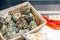 Fresh oysters on display at Billingsgate Fish Market in London