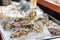 Fresh oysters at the food market. Fresh seafood appetizers