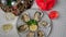 Fresh oysters on ice rotating, Christmas New Year decoration, glasses of champagne. Top view