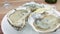 Fresh oysters with lemon on ice.