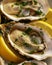 Fresh oysters with lemon and parsley on a yellow plate closeup.