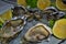 Fresh oysters with lemon, taste of the sea,