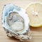 Fresh Oysters with lemon on wooden background. Opened Oysters w