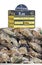 Fresh oysters for sale with price label