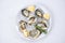 Fresh oysters seafood on white plate background - Open oyster shell with herb spices lemon rosemary served on table and ice