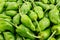 Fresh Padron pepper background
