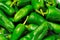 Fresh padron peppers.