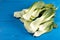 Fresh Pak Choi Vegetables On The Blue Wooden Boards Table