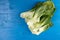 Fresh Pak Choi Vegetables On The Blue Wooden Boards Table