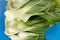 Fresh Pak Choi Vegetables On The Blue Wooden Boards Table