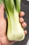 Fresh Pak Choi Vegetables In The Hand