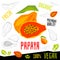 Fresh papaya fruits organic vegan food vector hand drawn illustrations