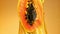 Fresh papaya with a splash of juice. Filmed on a high-speed camera at 1000 fps.