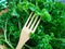 Fresh parsley food gourmet herbal wooden background aromatic