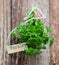 Fresh parsley with a name tag