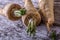 Fresh parsnips on old wooden table.