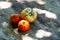 Fresh partially ripen tomatoes on a wooden surface