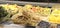 Fresh pasta in various formats arranged in baskets in the store counter