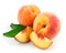 Fresh peach fruits with green leaves