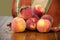 fresh peaches against a stripped background