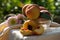 Fresh peaches in glass bowl