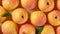Fresh peaches with water drops on orange background, top view
