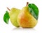 Fresh pear fruits with green leaf