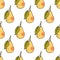 Fresh pear hand drawn vector seamless pattern