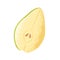 Fresh pear piece. Ripe fruit slice, cut half with seeds. Healthy vitamin summer food. Natural raw dessert, cross section