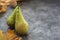 Fresh pears, autumn fruitisolated on gray background with copy space