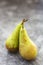 Fresh pears, autumn fruitisolated on gray background with copy space