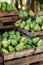 Fresh pears in a rustic wooden crate at a farmers market